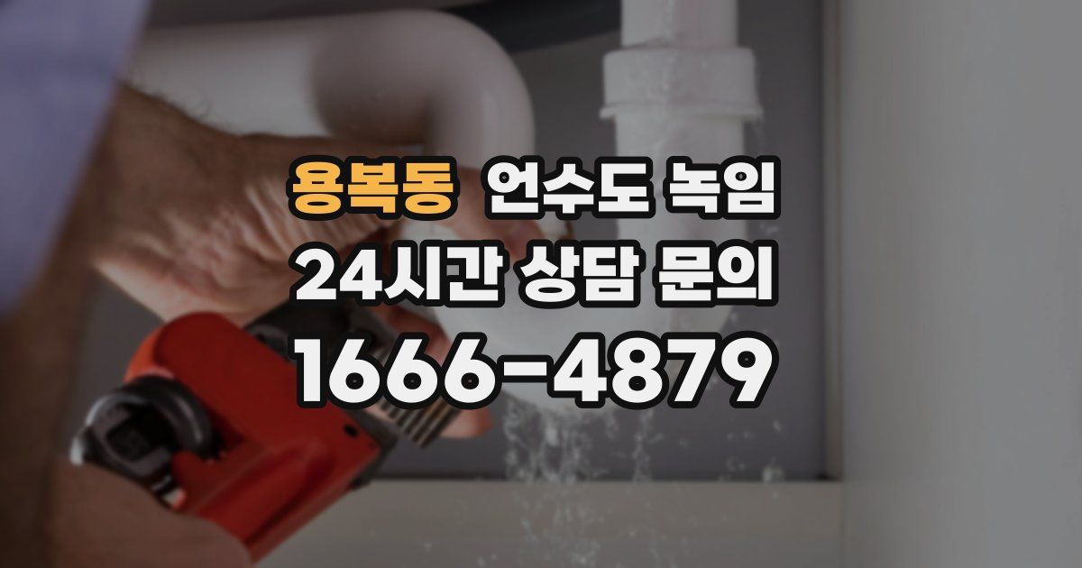 용복동 언수도 녹임