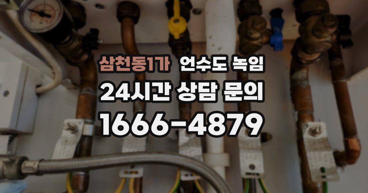 삼천동1가 언수도 녹임