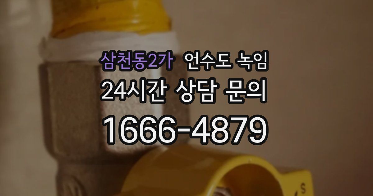 삼천동2가 언수도 녹임