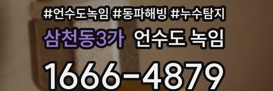 삼천동3가 언수도 녹임