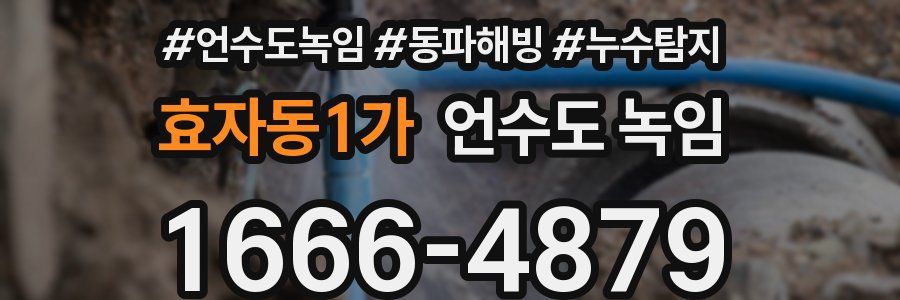 효자동1가 언수도 녹임