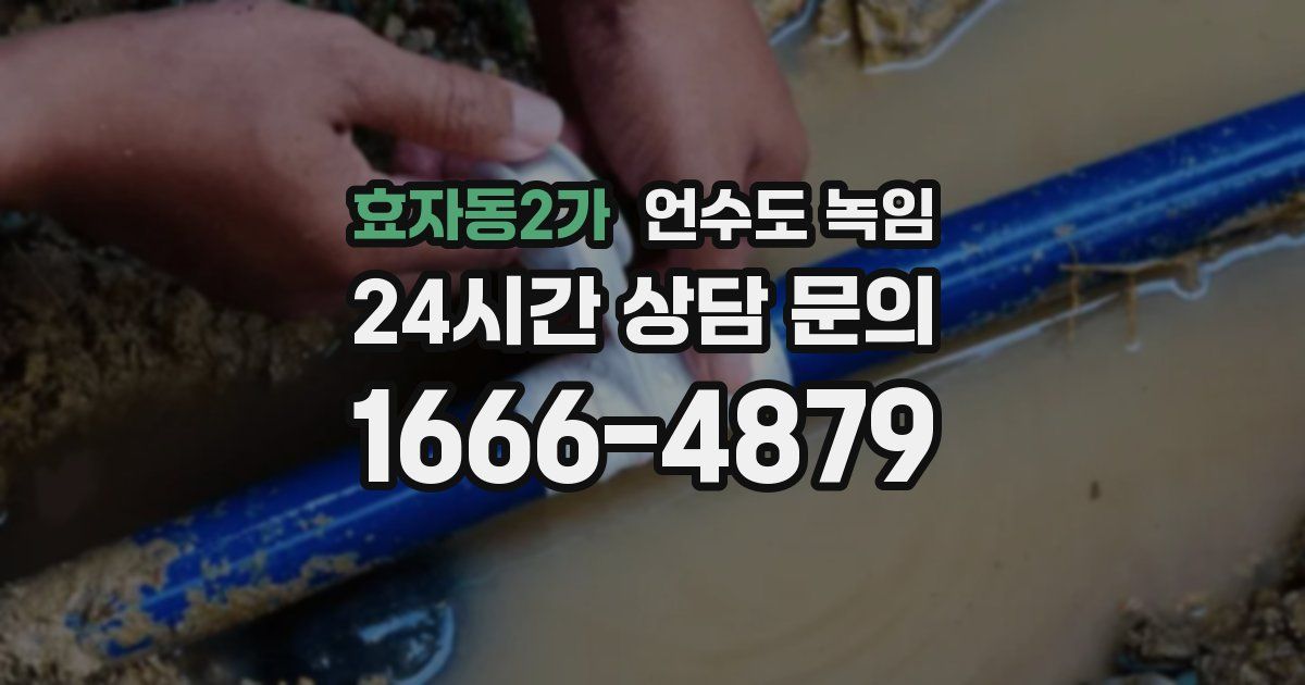 효자동2가 언수도 녹임