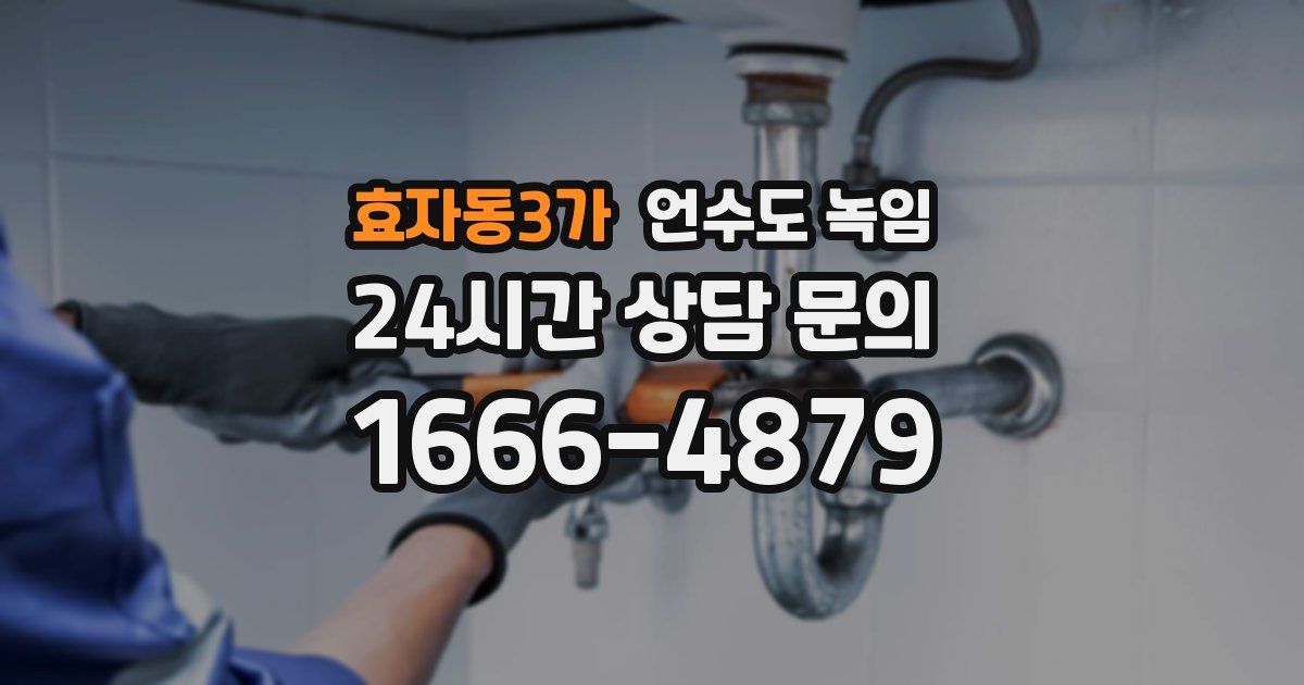 효자동3가 언수도 녹임