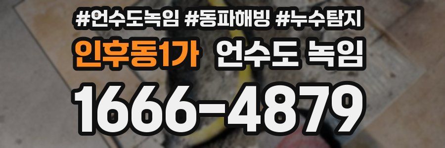 인후동1가 언수도 녹임