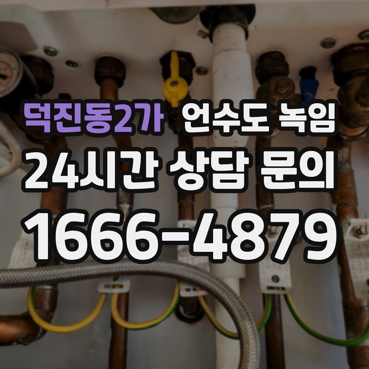 덕진동2가 언수도 녹임