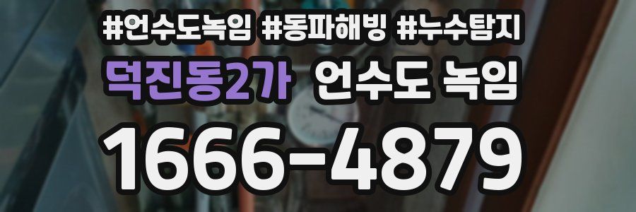 덕진동2가 언수도 녹임