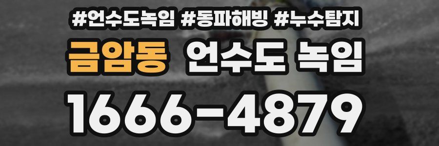 금암동 언수도 녹임