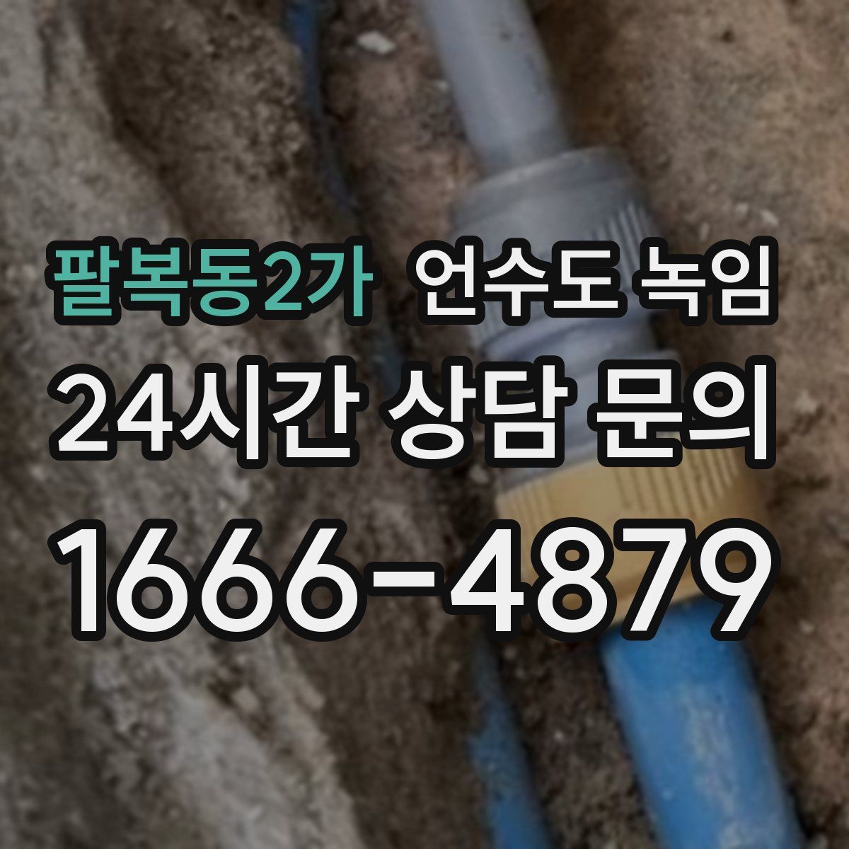 팔복동2가 언수도 녹임