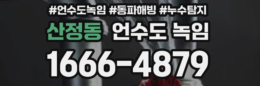 산정동 언수도 녹임