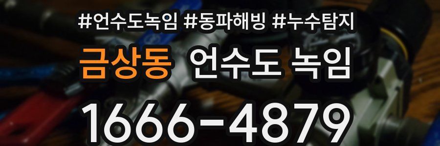 금상동 언수도 녹임