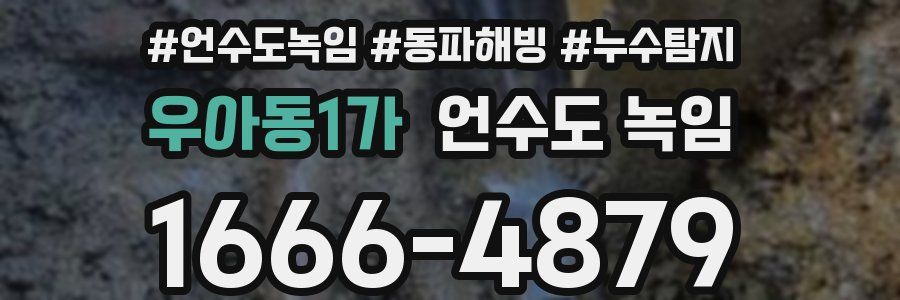 우아동1가 언수도 녹임