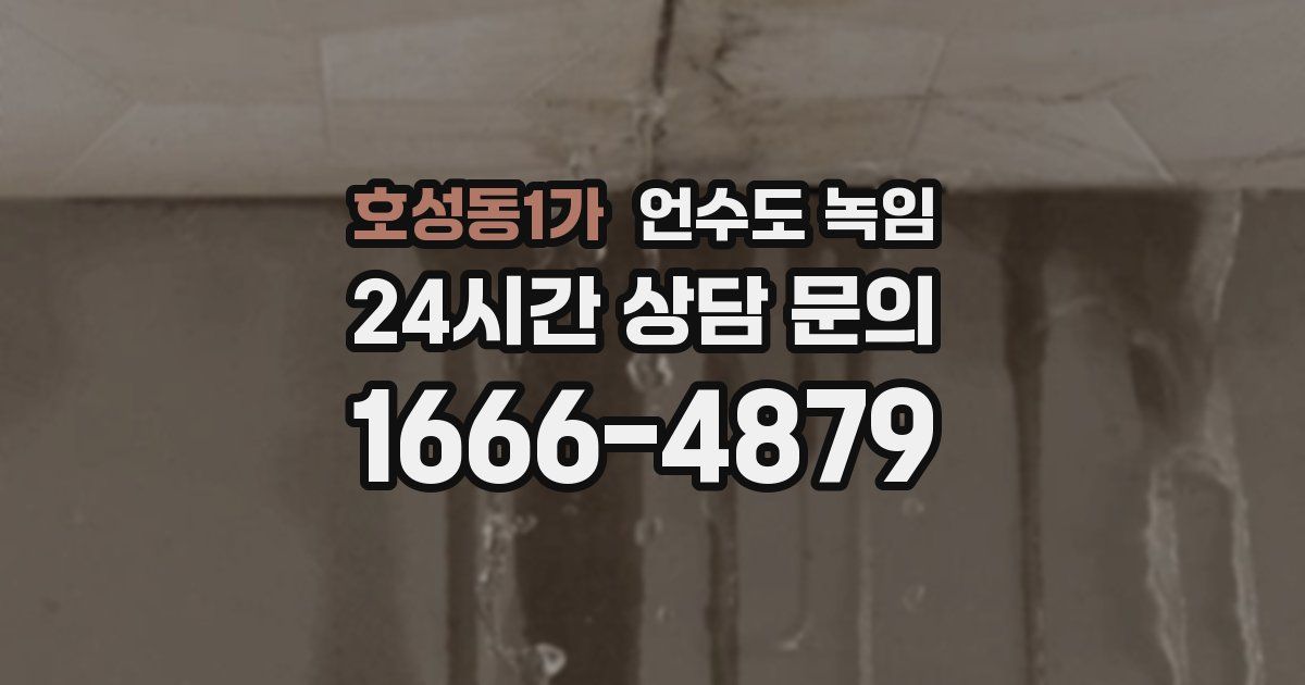 호성동1가 언수도 녹임