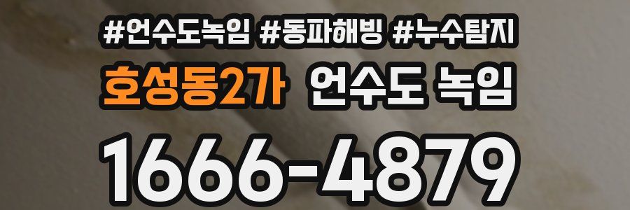 호성동2가 언수도 녹임