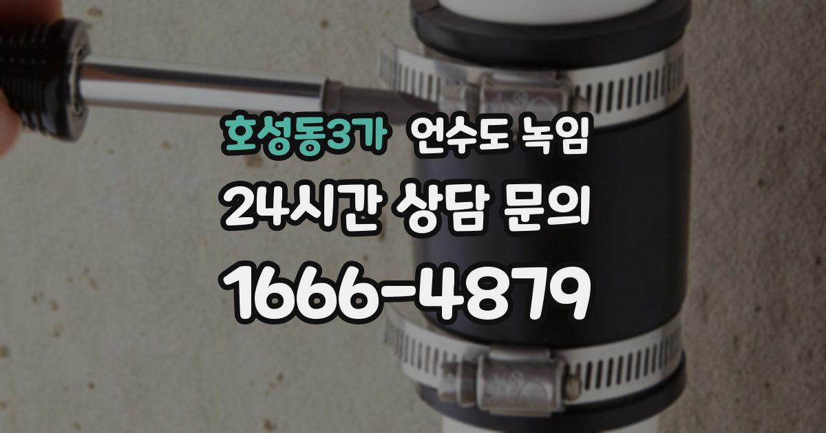 호성동3가 언수도 녹임