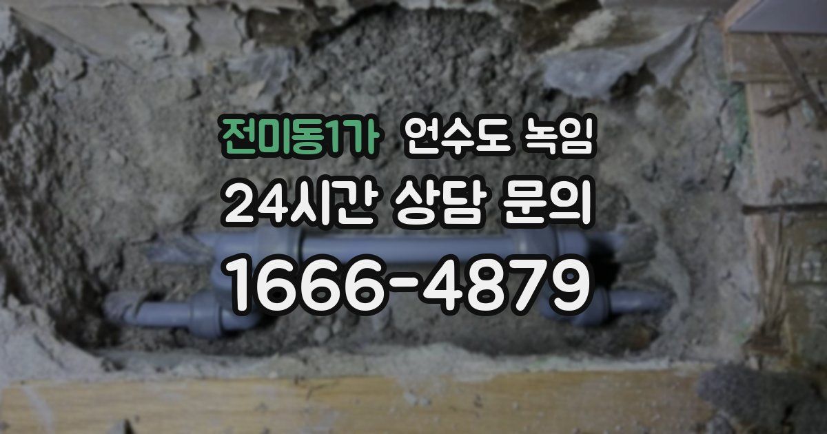 전미동1가 언수도 녹임