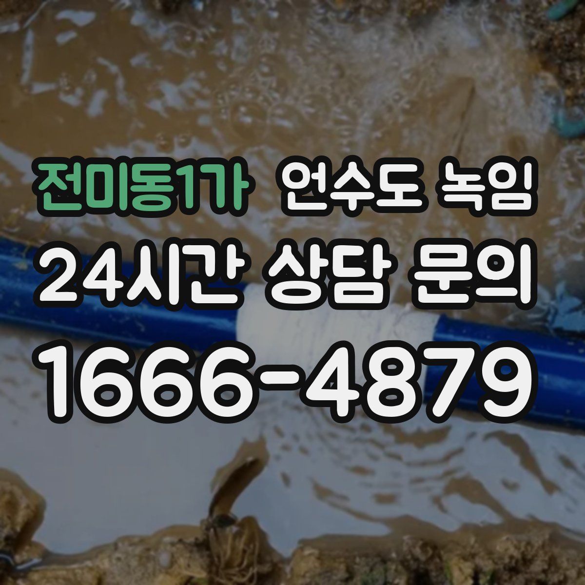 전미동1가 언수도 녹임