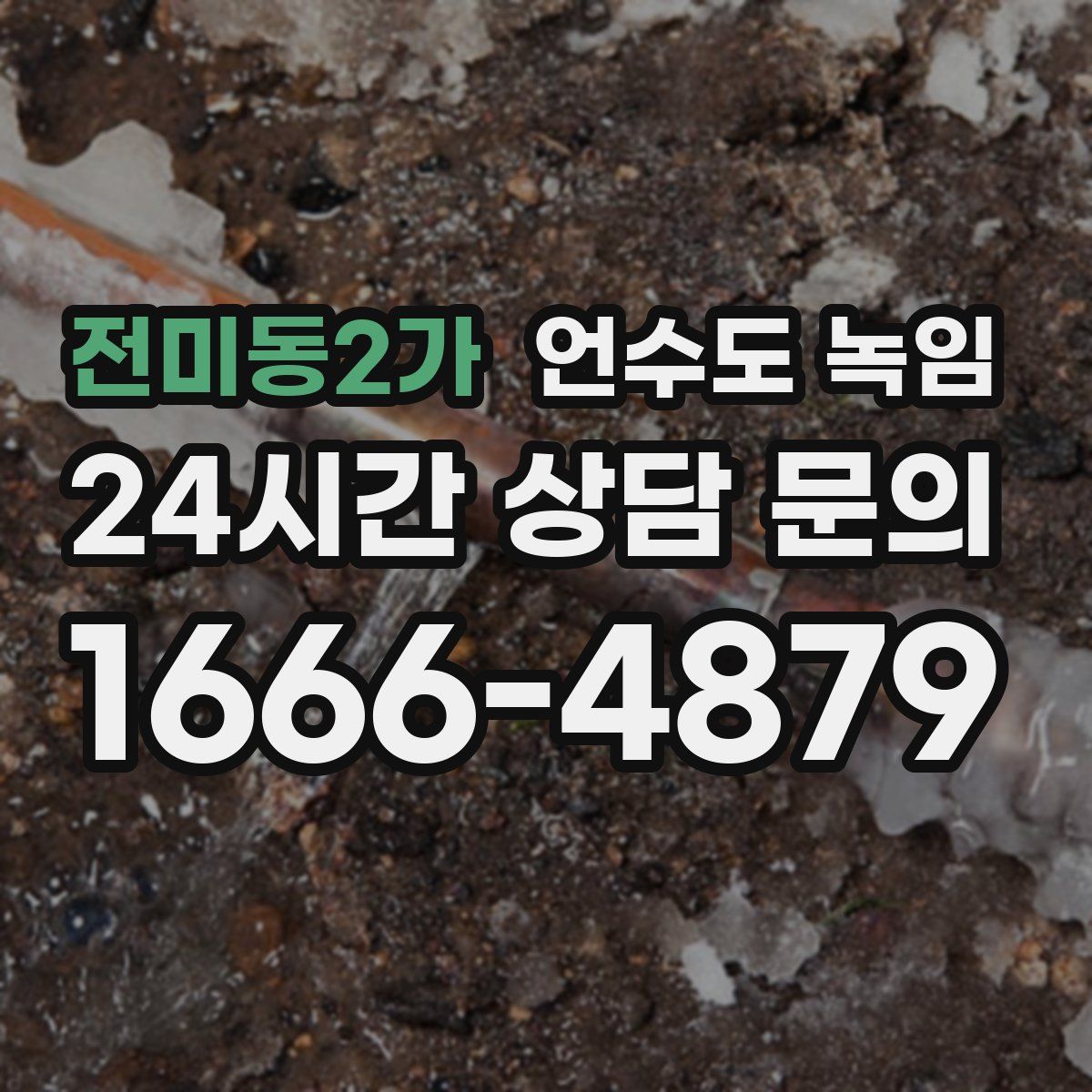 전미동2가 언수도 녹임