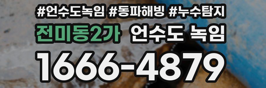 전미동2가 언수도 녹임