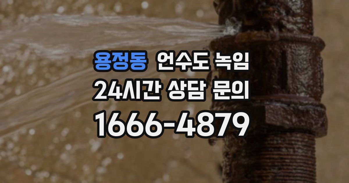 용정동 언수도 녹임