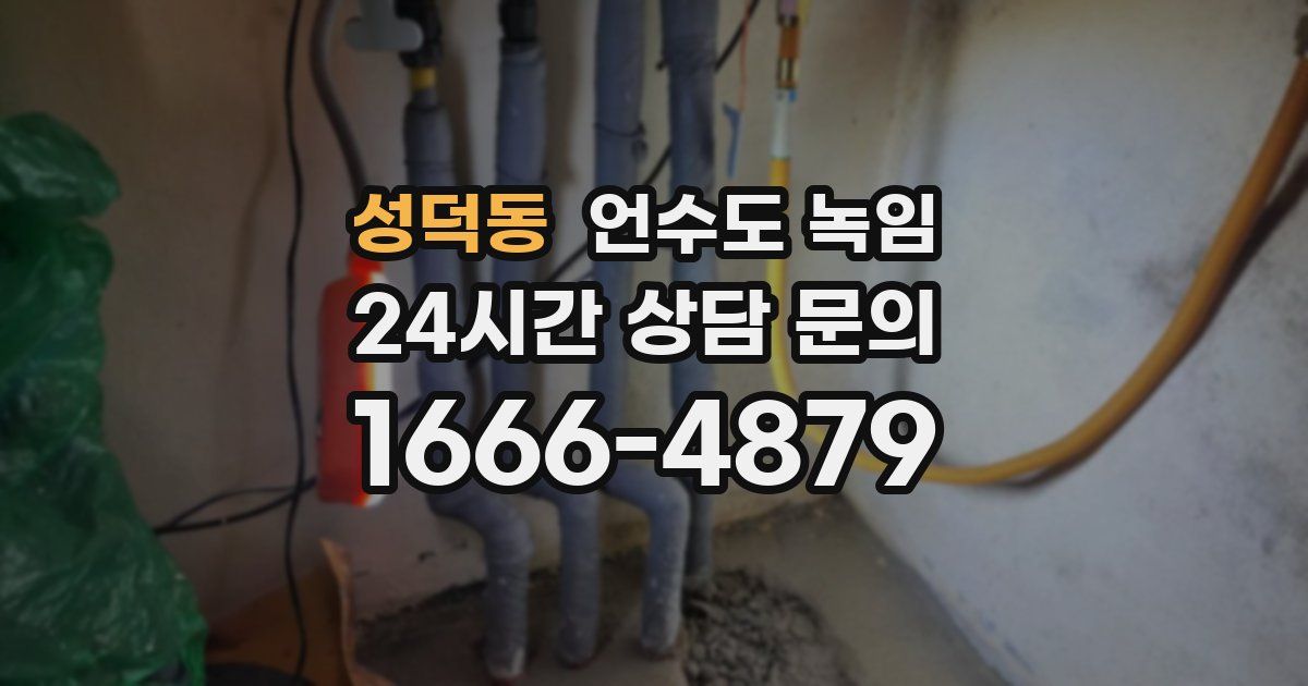 성덕동 언수도 녹임