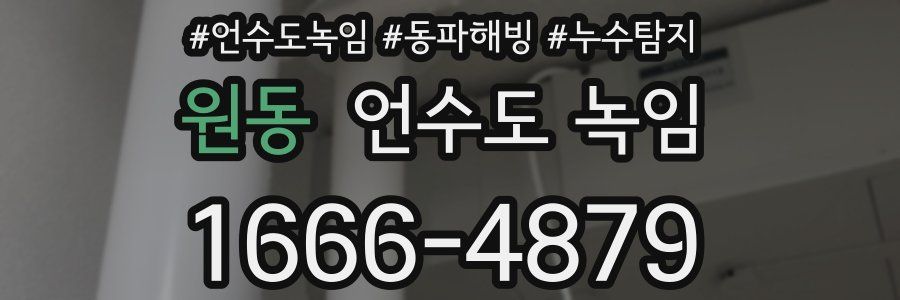 원동 언수도 녹임