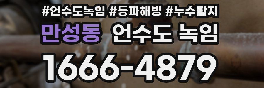 만성동 언수도 녹임