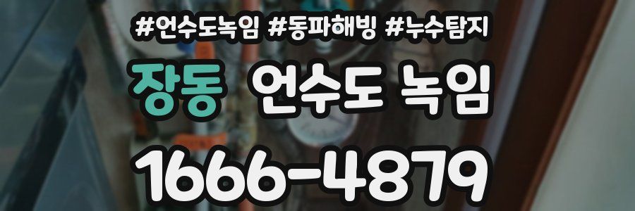 장동 언수도 녹임