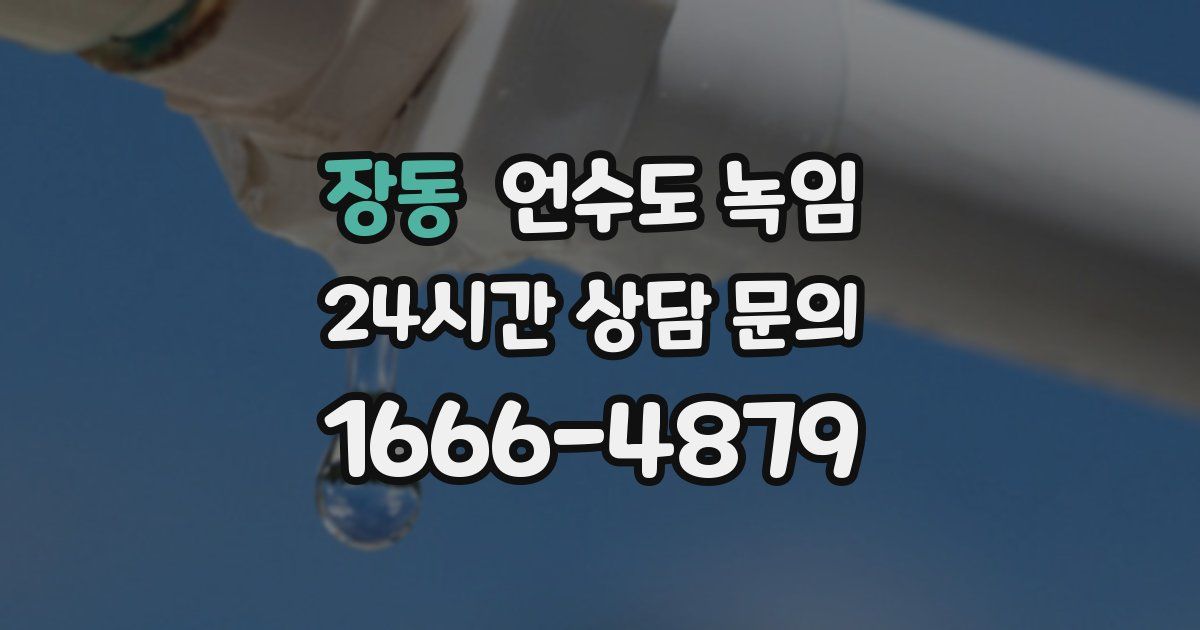 장동 언수도 녹임