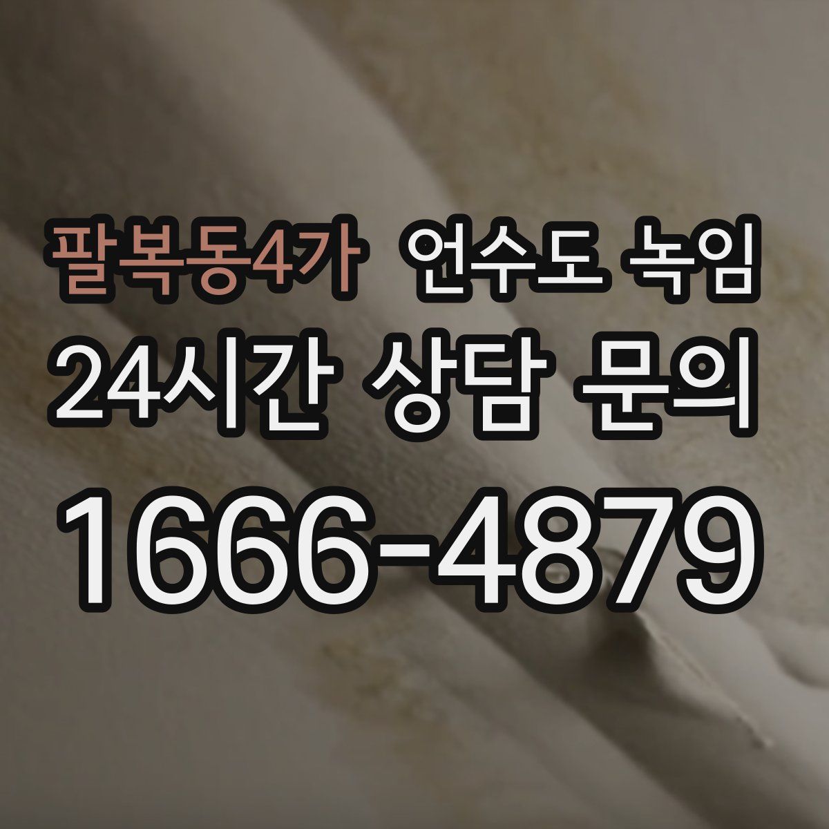 팔복동4가 언수도 녹임