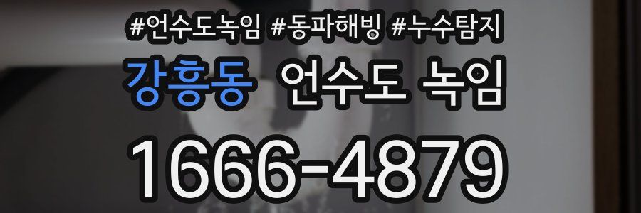 강흥동 언수도 녹임