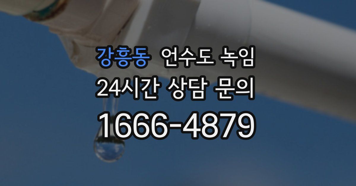 강흥동 언수도 녹임