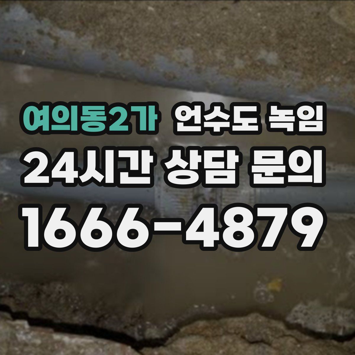 여의동2가 언수도 녹임