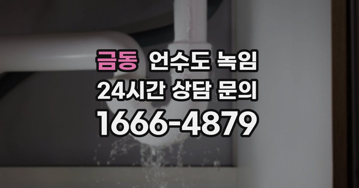 금동 언수도 녹임