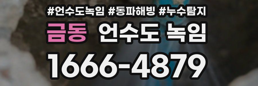 금동 언수도 녹임