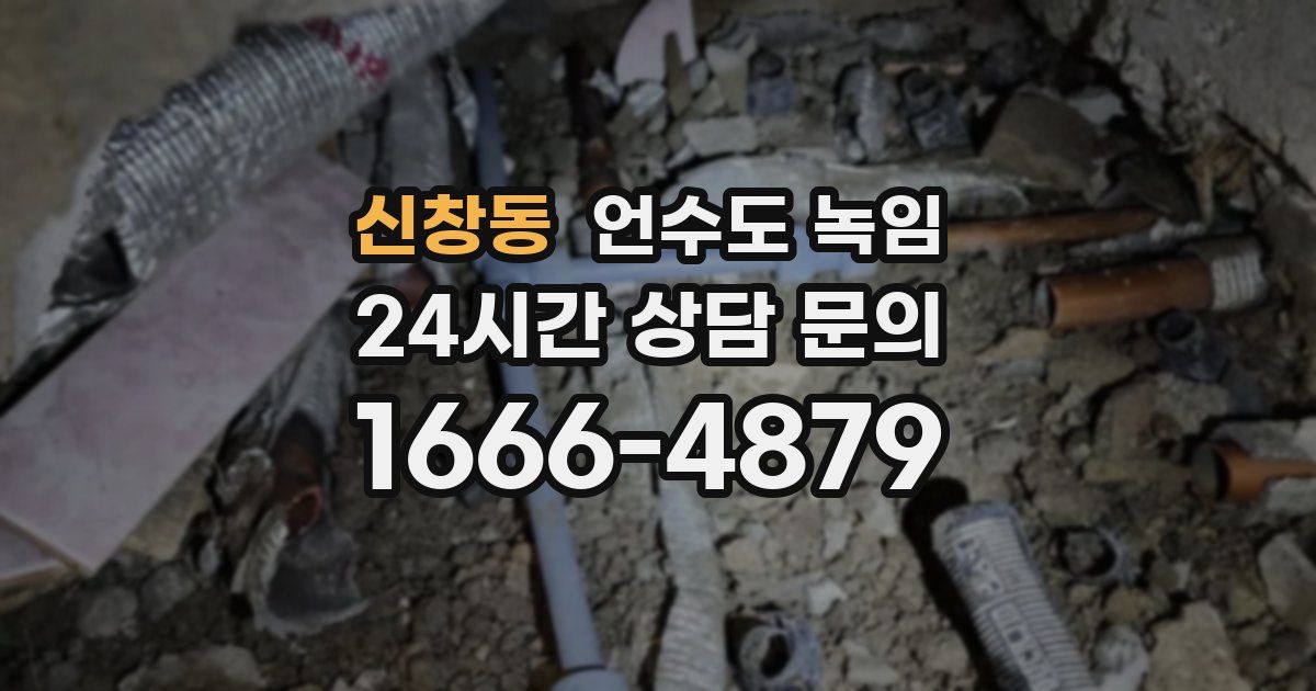 신창동 언수도 녹임