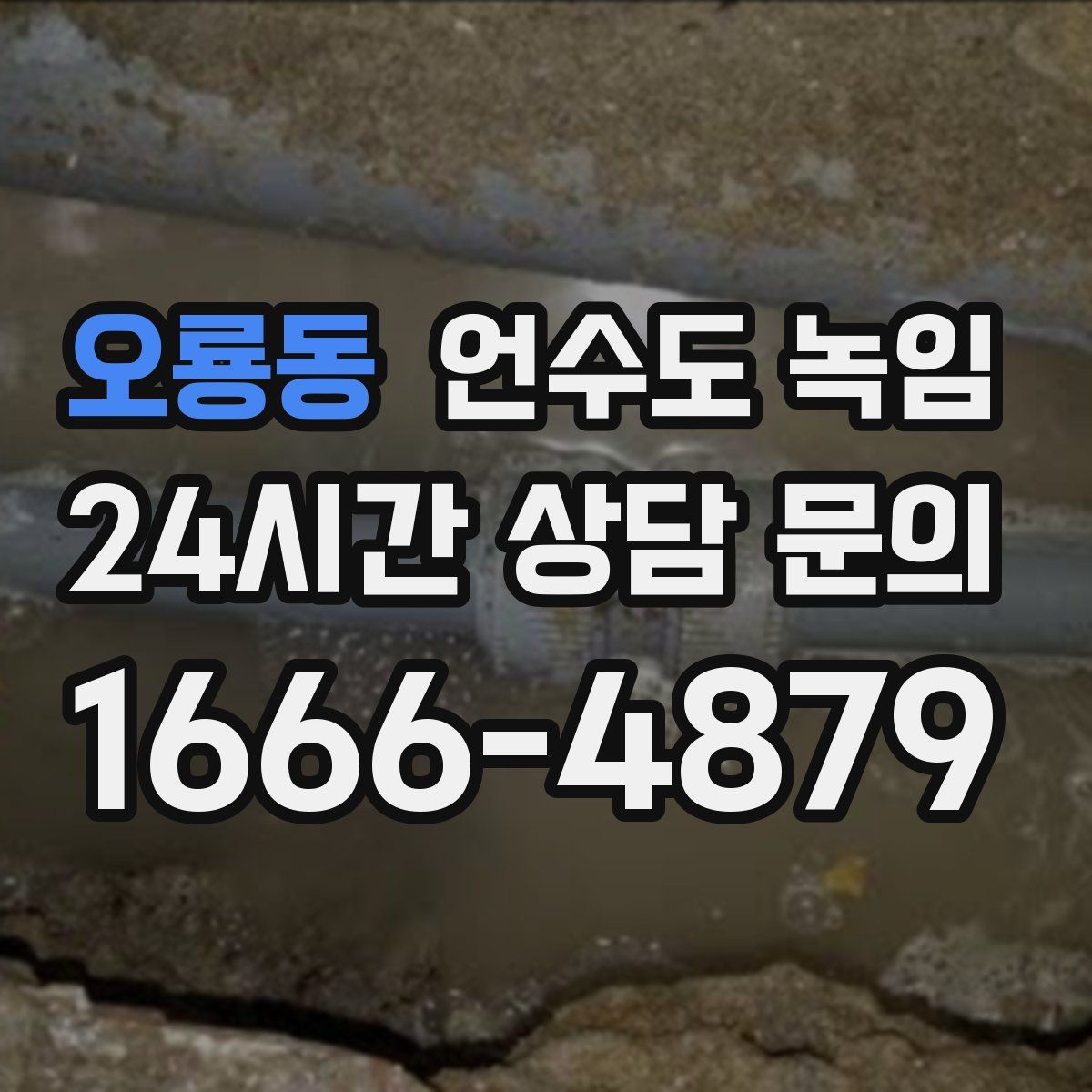 오룡동 언수도 녹임