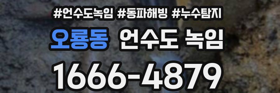 오룡동 언수도 녹임