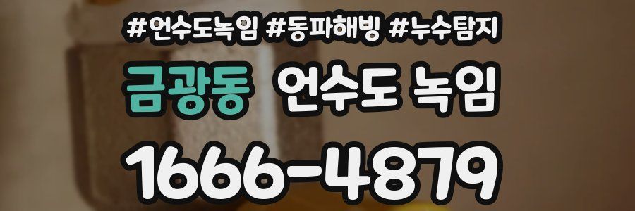 금광동 언수도 녹임