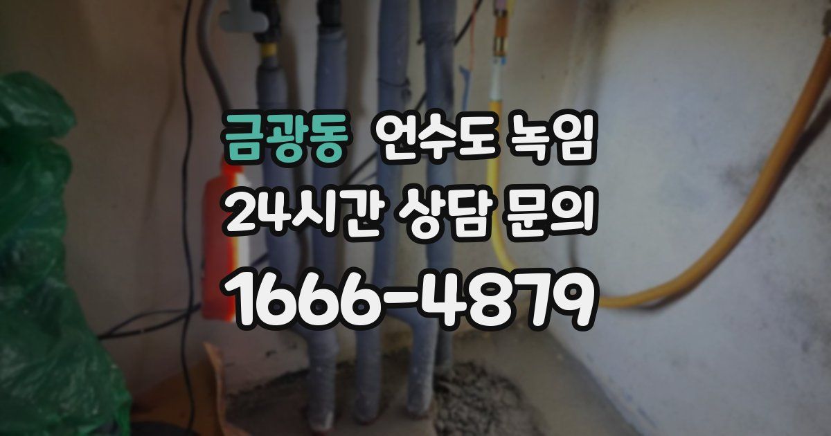 금광동 언수도 녹임