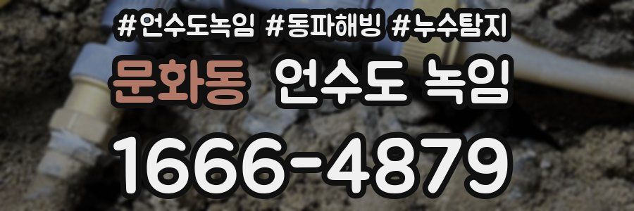 문화동 언수도 녹임