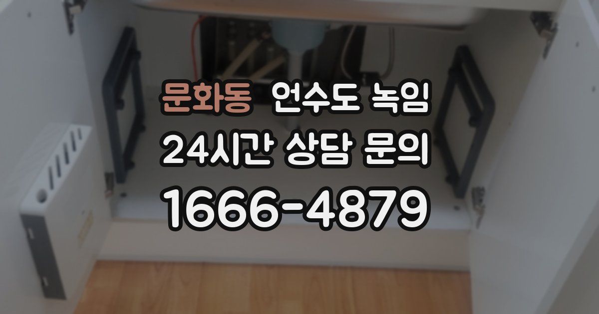 문화동 언수도 녹임