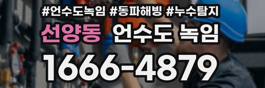 선양동 언수도 녹임