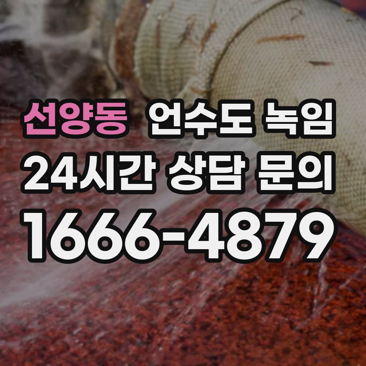 선양동 언수도 녹임