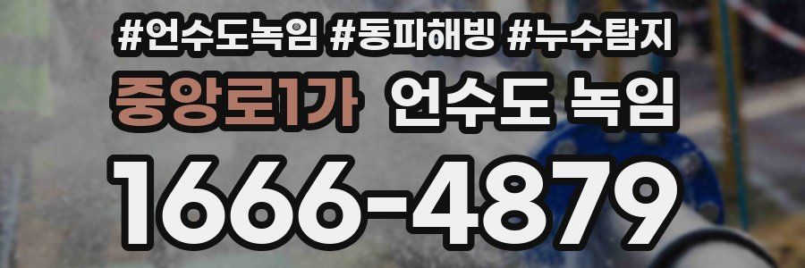 중앙로1가 언수도 녹임