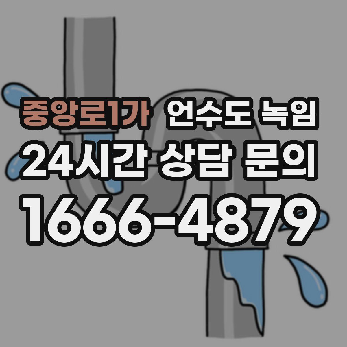중앙로1가 언수도 녹임