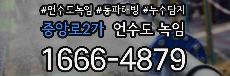 중앙로2가 언수도 녹임