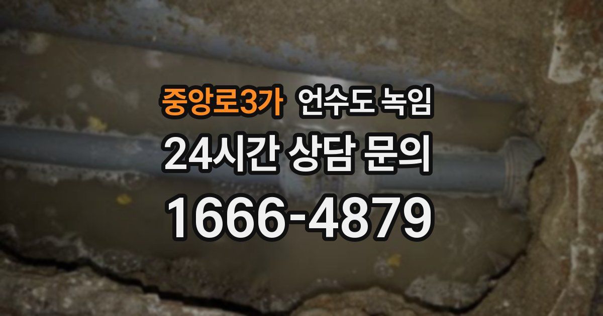 중앙로3가 언수도 녹임