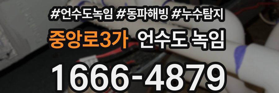 중앙로3가 언수도 녹임