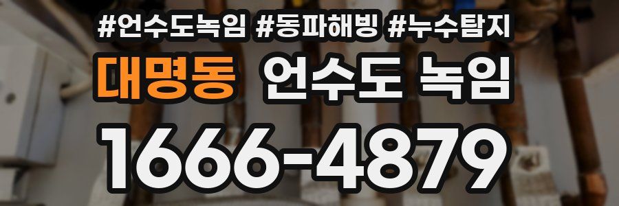 대명동 언수도 녹임