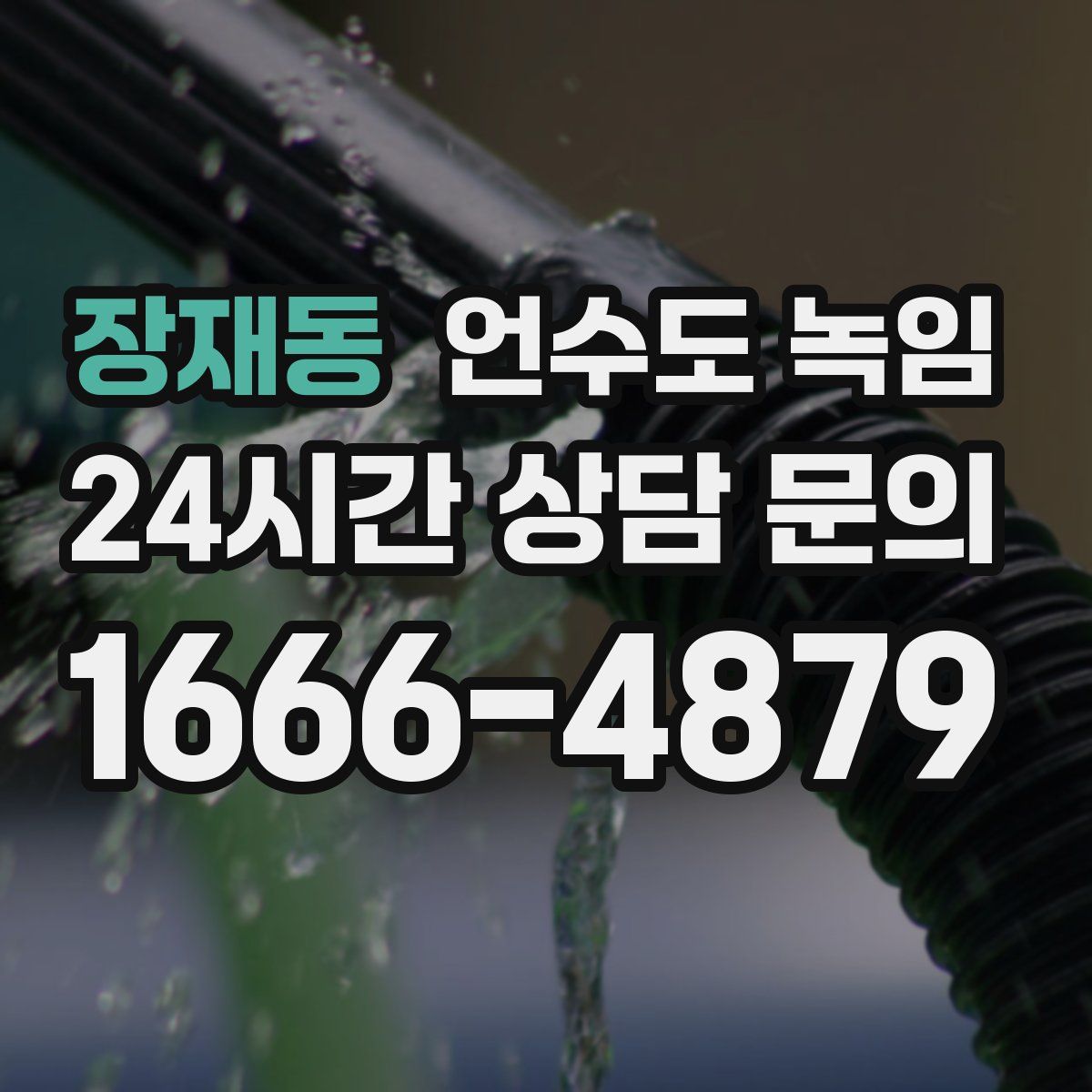 장재동 언수도 녹임